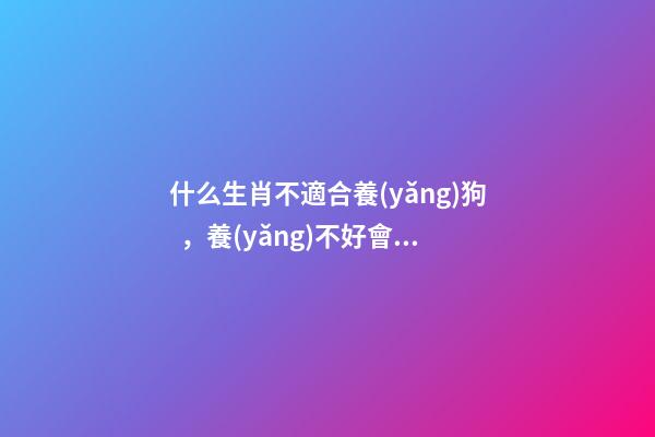 什么生肖不適合養(yǎng)狗，養(yǎng)不好會損害主人運勢